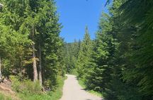  Guided Bike /E-bike Tour in Whistler From Vancouver