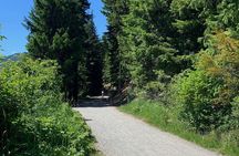  Guided Bike /E-bike Tour in Whistler From Vancouver