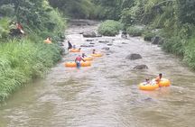 Half Day Tour - Popular Sites in Grenada, Forest Reserve,Spice Market,Waterfalls