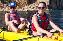 Private Los Cabos Arch and Playa del Amor Tour by Glass Bottom Kayak