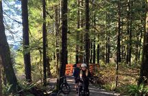 Experience the Beauty of Vancouver’s Forests by Bike/E-Bike