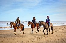 Horse Ride in Taghazout or Agadir