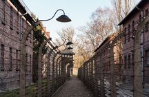 Auschwitz-Birkenau Memorial Entrance Ticket and Guided Tour