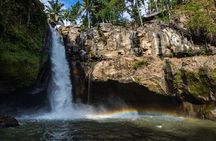 Bali All-Inclusive: Ubud Tour with Entrance Ticket and Lunch Included