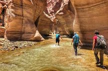 One Day Hiking Wadi Al Hasa Canyon 