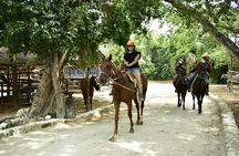 Wonderful Jungle Experience with Horse Riding, ATV, Ziplines and Cenote