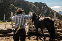 Horseback Riding in the Andes, gaucho experience & BBQ
