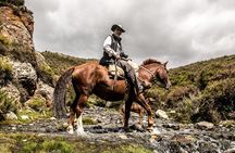 Horseback Riding in the Andes, gaucho experience & BBQ