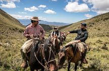 Horseback Riding in the Andes, gaucho experience & BBQ