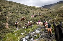 Horseback Riding in the Andes, gaucho experience & BBQ