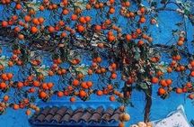 Private Tour of Chefchaouen from Tangier