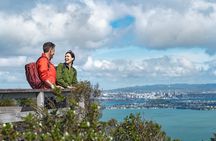 Discover Auckland City Tour: The City of Sails