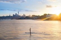 Discover Auckland City Tour: The City of Sails