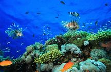 Blue Hole and 3 Pools Snorkel with Lunch from Dahab
