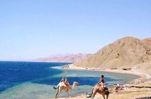Camel Ride + Blue Hole Snorkeling + Quad Bike Tour With Lunch From Dahab