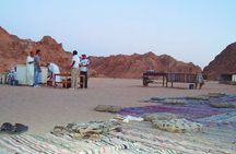 Bedouin Dinner in the Mountains In Dahab