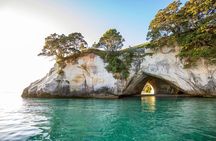 Private Tour - Coromandel Beach, Caves & Forest