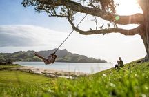 Private Tour - Coromandel Beach, Caves & Forest