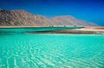Blue Lagoon Beach 1-Hour Camel Safari from Dahab