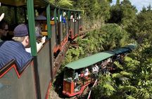 Private Tour - Coromandel Beach, Caves & Forest