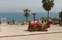 Bethlehem & The Dead Sea Full Day Tour from Jerusalem/TLV