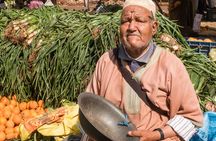Marrakech: Three Valleys, Atlas Mountains and Waterfalls Tour