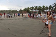 Troncones, Manzanillo Bay and Majahua Beach Tour