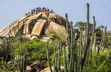 Aruba Create Your Own Island Tour