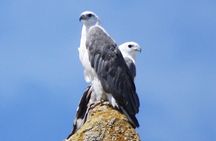 Ile Des Phoques and Maria Island Cruise and Walk Day Tour with Lunch