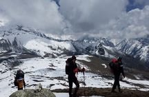 All Inclusive Langtang Valley Trek - 7 Days