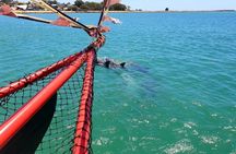 The Pirate Cruise in Mandurah