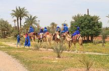 Camel Ride and Dinner under the Stars in the Agafay Desert 