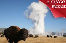 Yellowstone & Grand Teton National Parks: Small Group 4-Day Tour