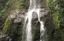 Full-Day Arenal Inspirations Combo: Waterfall, Bridges, Volcano