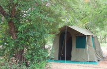4 day Private Kruger Under Canvas Safari