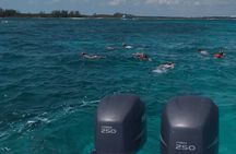 Private 4 hour Rose Island tour snorkeling fishing 