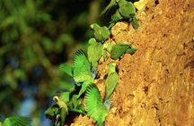 3-Day Amazon Jungle at Refugio Amazonas Lodge