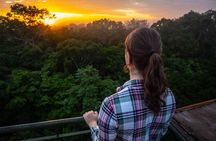 3-Day Amazon Jungle at Refugio Amazonas Lodge