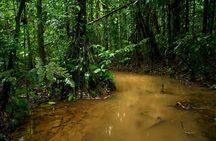 3-Day Amazon Jungle at Refugio Amazonas Lodge
