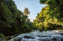 Okere Falls Zipline Experience