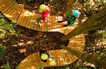 Okere Falls Zipline Experience