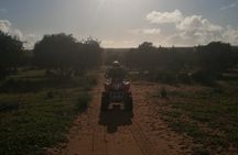 Half Day Quad in Agadir