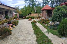 Kakheti Wine Tour with 20+ Wine Tastings & Qvevri Masterclass