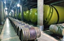 Kakheti Wine Tour with 20+ Wine Tastings & Qvevri Masterclass