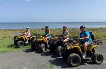 Day Tour in Roatan: ATV, Sloths, Monkeys and Zipline