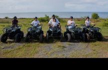Day Tour in Roatan: ATV, Sloths, Monkeys and Zipline