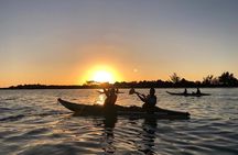 Kayak Mangroves Sunrise Experience 