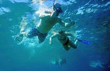 Los Cabos Snorkeling Tour by Speed Boat with Photos Included 