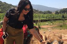 Atlas Mountains Imlil Village Kik Plateau Agafay desert Day Trip
