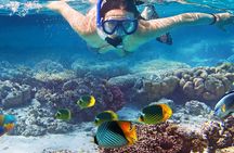 Waikiki Sail and Snorkel Adventure Best of Hawaii 2023